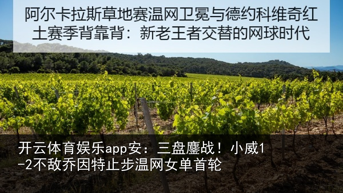 开云体育娱乐app安：三盘鏖战！小威1-2不敌乔因特止步温网女单首轮