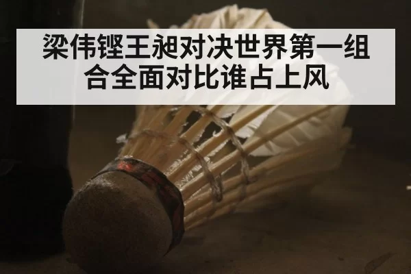 梁伟铿王昶对决世界第一组合全面对比谁占上风