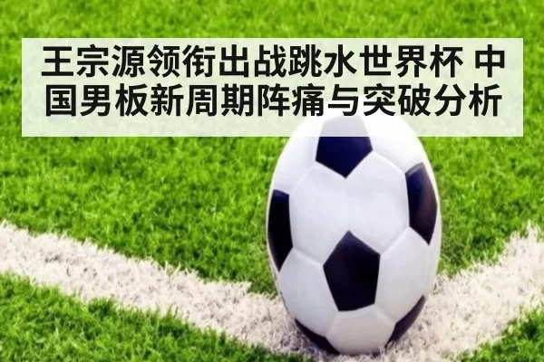 王宗源领衔出战跳水世界杯 中国男板新周期阵痛与突破分析